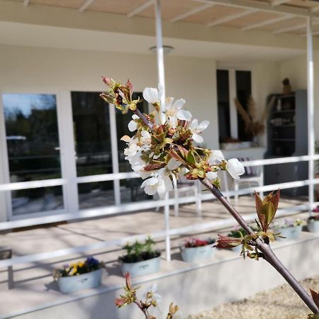 Vila Fuszerkert Vendeghaz Zamárdi Exteriér fotografie